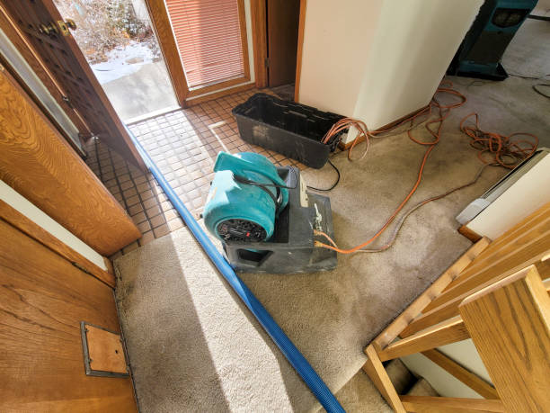 Trusted New Hyde Park, NY Water damage restoration Experts