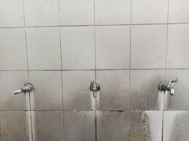 Best Flood restoration services  in New Hyde Park, NY