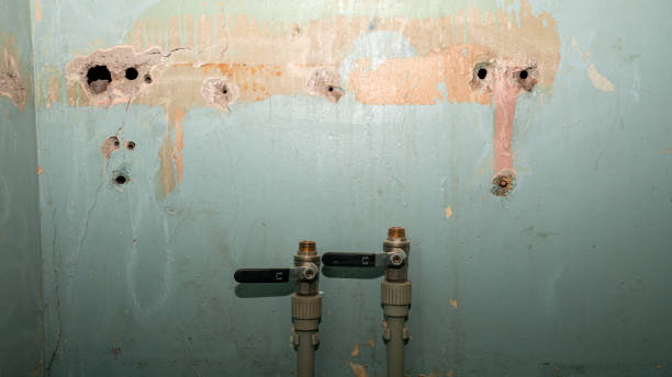 Sewage cleanup and water damage restoration in New Hyde Park, NY